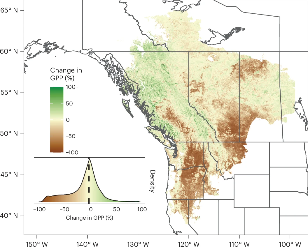 Change in gross primary productivity during the 2021 western North American heatwave Map of western North America shaded by percent change in gross primary productivity during the 2021 heatwave, with declines through the arid interior and increases in cooler, wetter mountain and northern regions