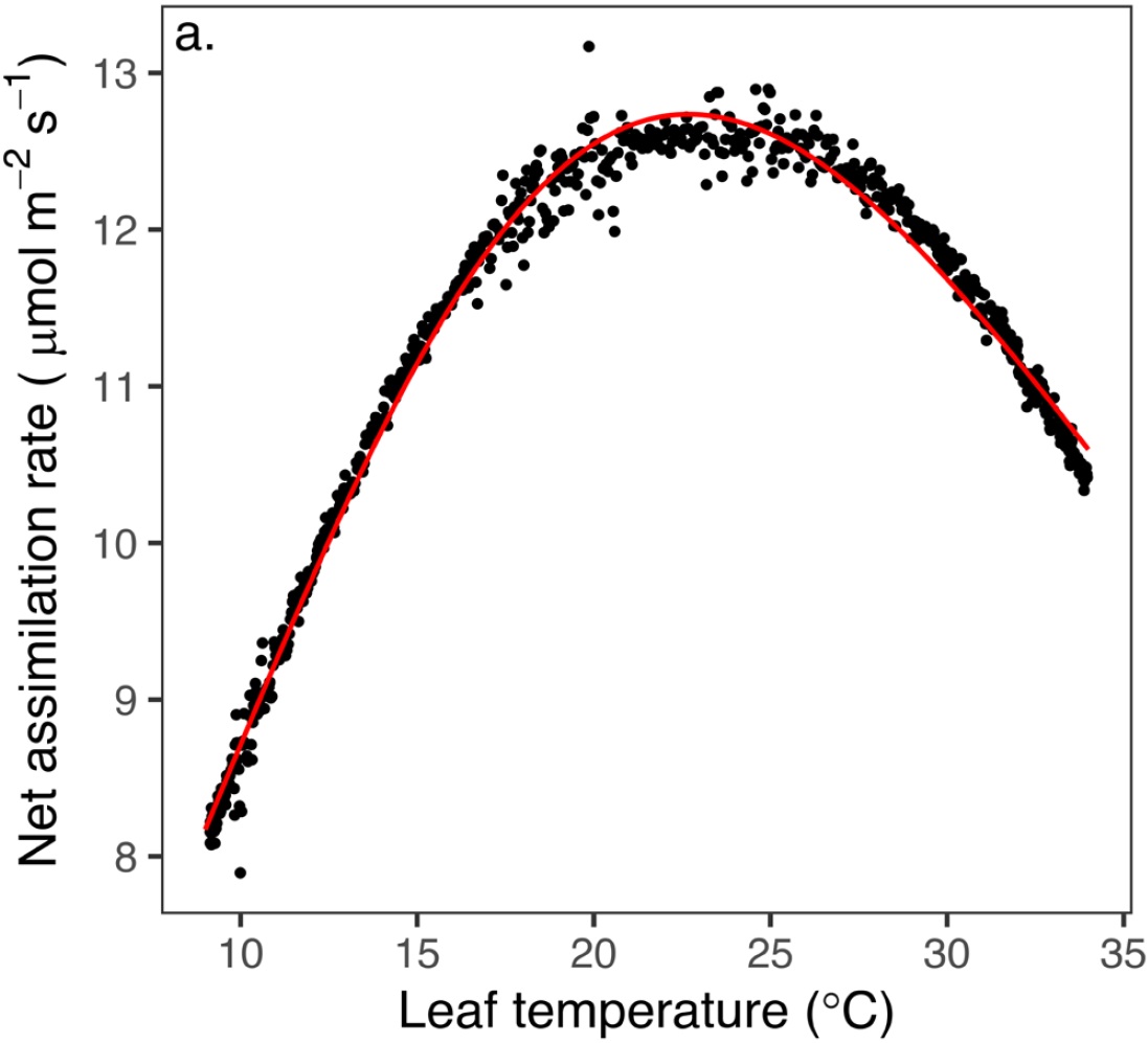 Assimilation-temperature response measured with the FAsTeR method Net assimilation rate plotted against leaf temperature, showing a dense cloud of measurements rising to a peak near 23 degrees Celsius and declining above it, with a fitted Sharpe-Schoolfield curve